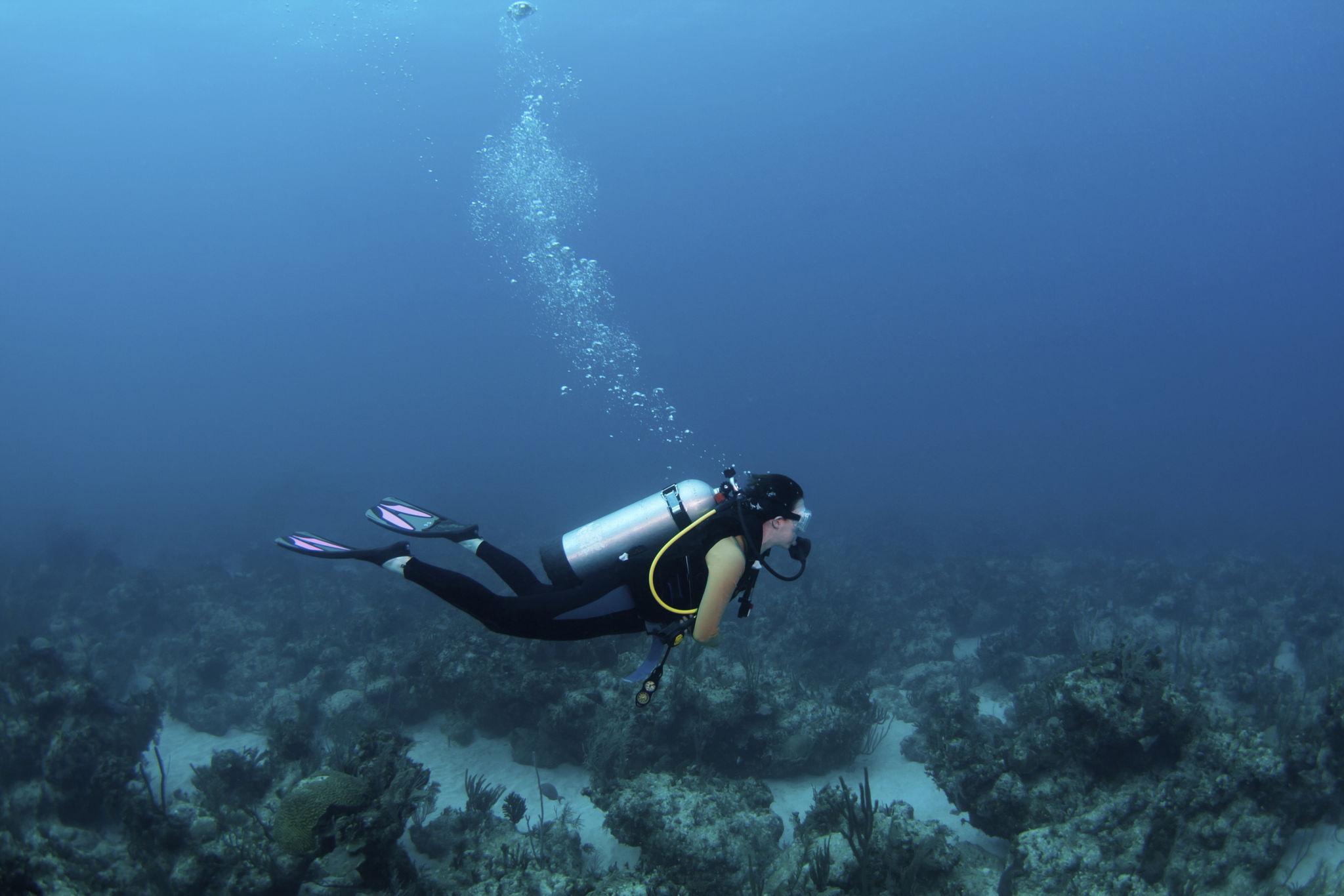 Scuba diving